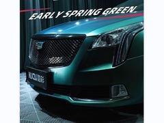 TPU - 春初緑色 (輝く)